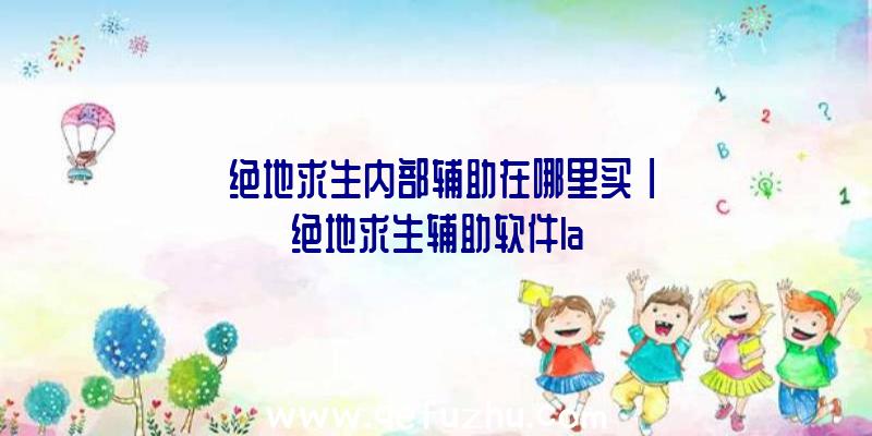 「绝地求生内部辅助在哪里买」|绝地求生辅助软件la